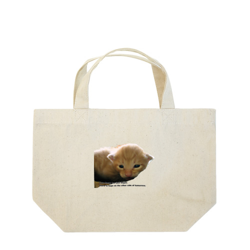 シマ猫赤ちゃん子猫ちゃん、何が欲しいの？ Lunch Tote Bag