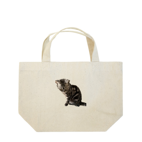 アメショーのひめちゃん⑦ Lunch Tote Bag