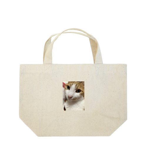 おすましもも　ネコ Lunch Tote Bag
