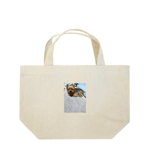 アレンくん Lunch Tote Bag