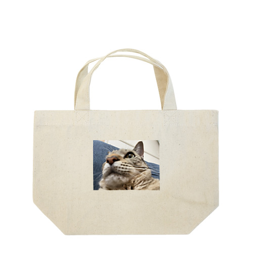 キジトラ猫のくるみさん Lunch Tote Bag