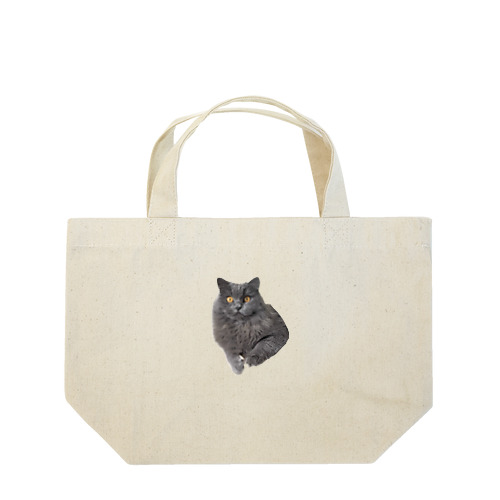 それゆけ！ガブちゃん5 Lunch Tote Bag