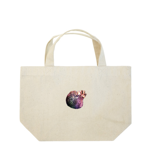 宇宙、アンモニャイト Lunch Tote Bag