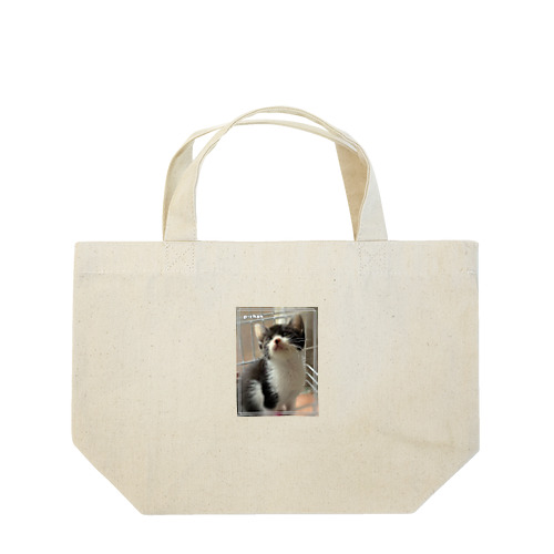 保護猫Pちゃん【ロゴなし】 Lunch Tote Bag