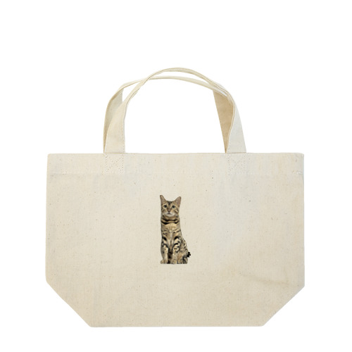 ごにゃモデル Lunch Tote Bag