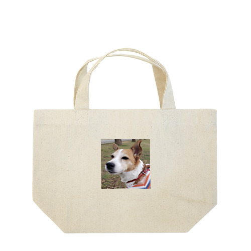 ヴﾝｯｯ Lunch Tote Bag