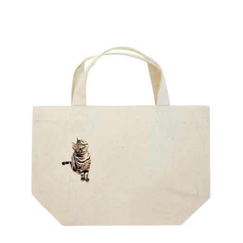 アメショのあずき Lunch Tote Bag