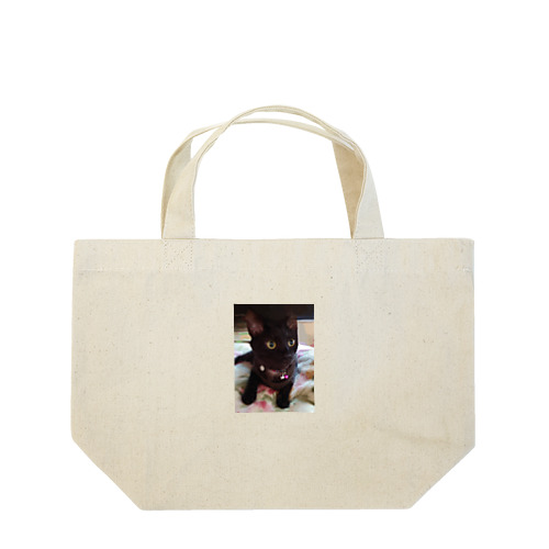 保護猫ヤマト君 Lunch Tote Bag