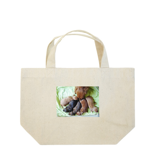 ダックス★マロンの赤ちゃんたち Lunch Tote Bag