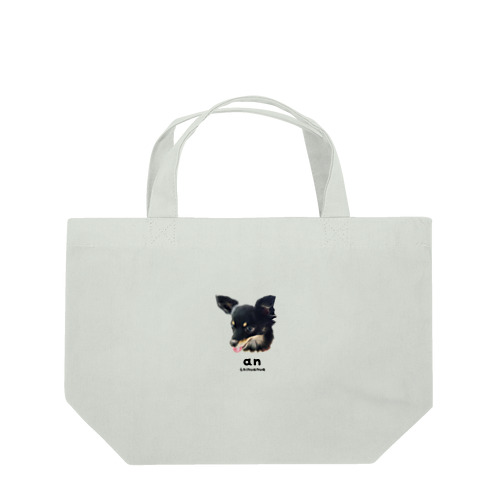 AN Lunch Tote Bag