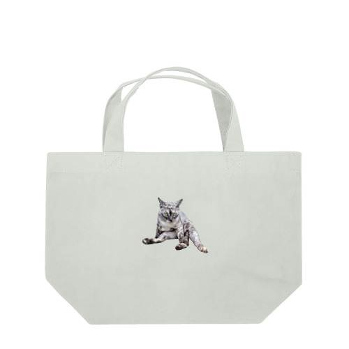 ガン飛ばし猫（実写） Lunch Tote Bag