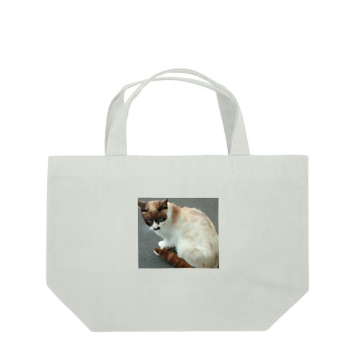201408161744000　焦げ目の猫 Lunch Tote Bag
