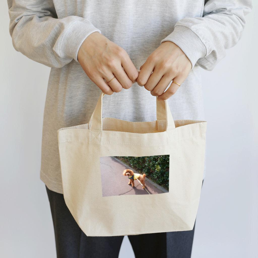 RIE りえのpoodle Amu Lunch Tote Bag