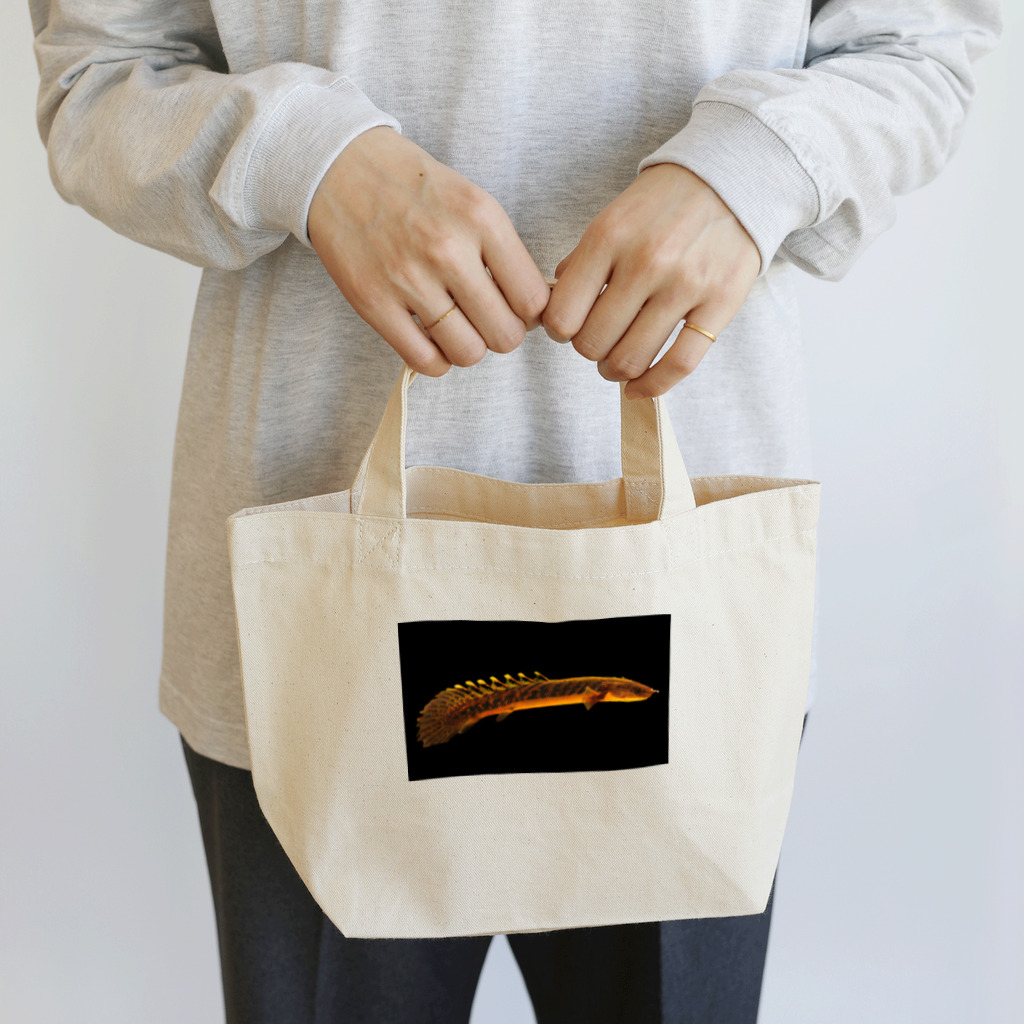 stockboxのポリプテルス グッズ Lunch Tote Bag