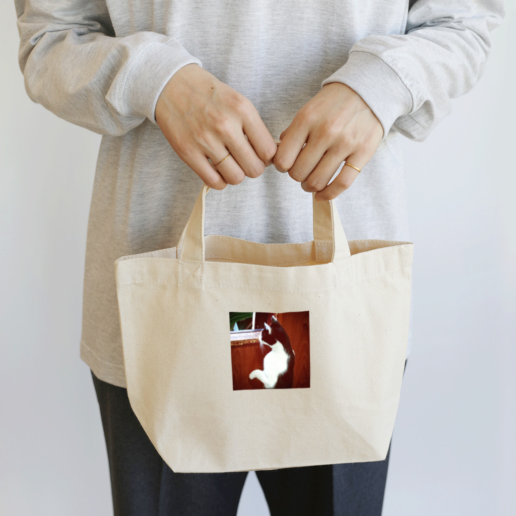 天光のねこ部屋の窓際のプリンちゃん Lunch Tote Bag