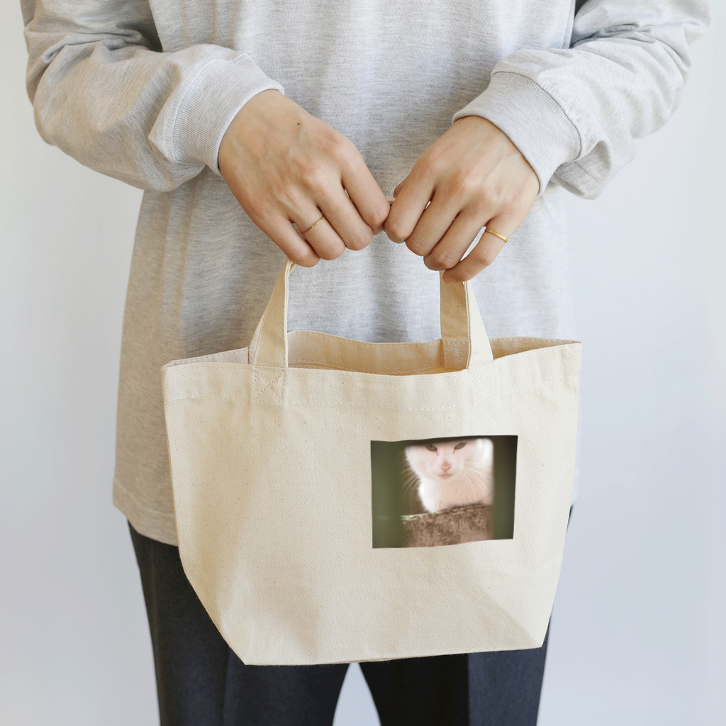 ともしょぅWORLDの真正面相対野良ネコ Lunch Tote Bag