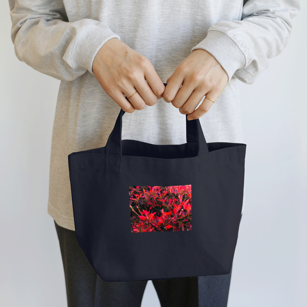 空屋　sorayakusakaの202311070847000　雨上がりの赤 Lunch Tote Bag