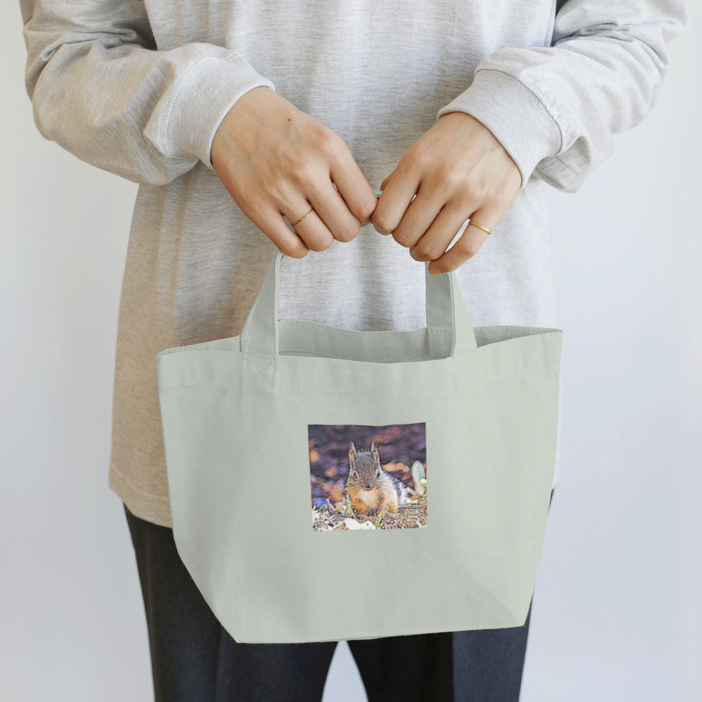 jun-hoshiのつぶらな瞳の可愛らしいリス Lunch Tote Bag