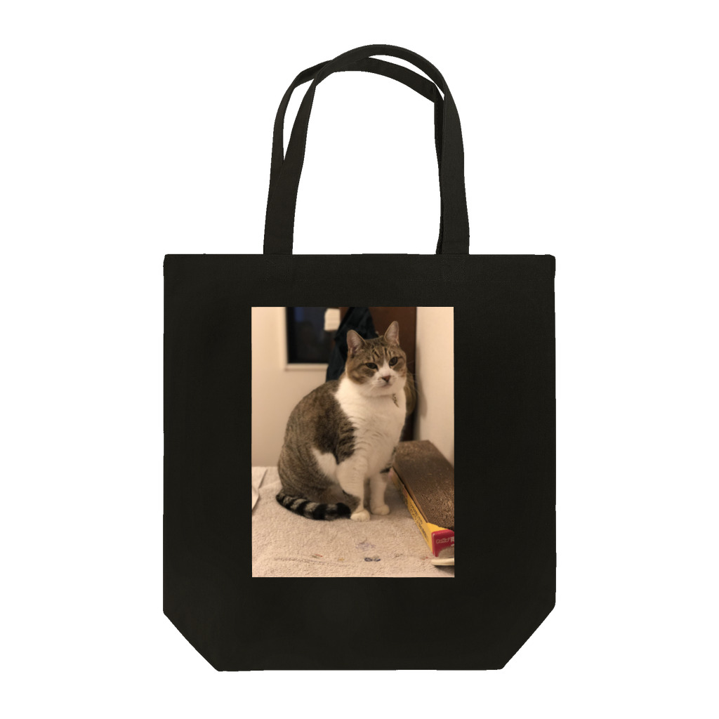 虎きょうだいのこてつトート Tote Bag