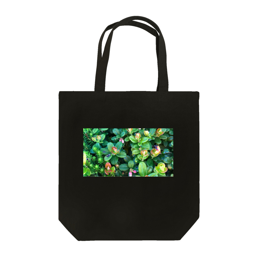 megu0328の乗鞍岳の高山植物 Tote Bag