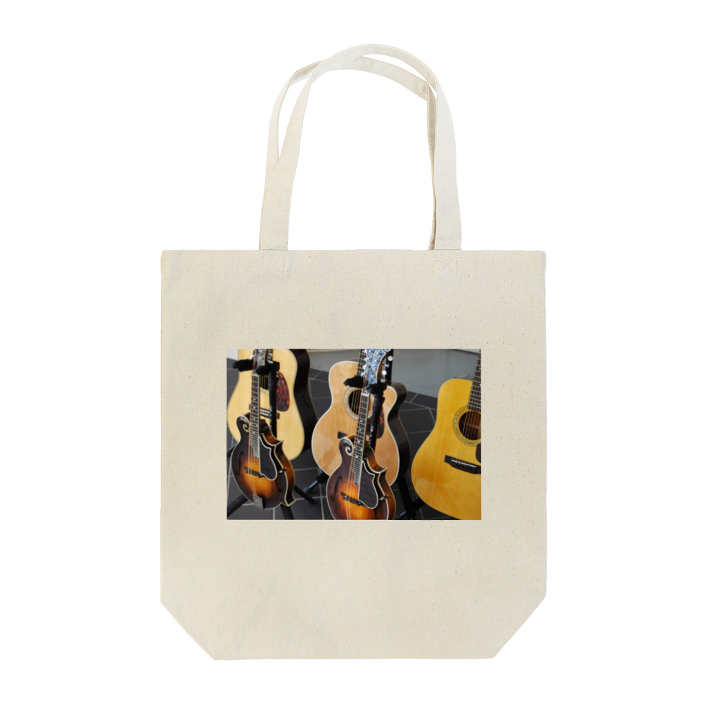 ウエイド・インスツルメンツのGuitar & Mandolin Tote Bag