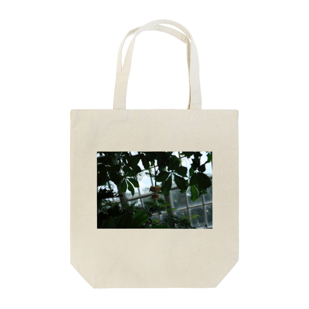 synsiloのバオバブ Tote Bag