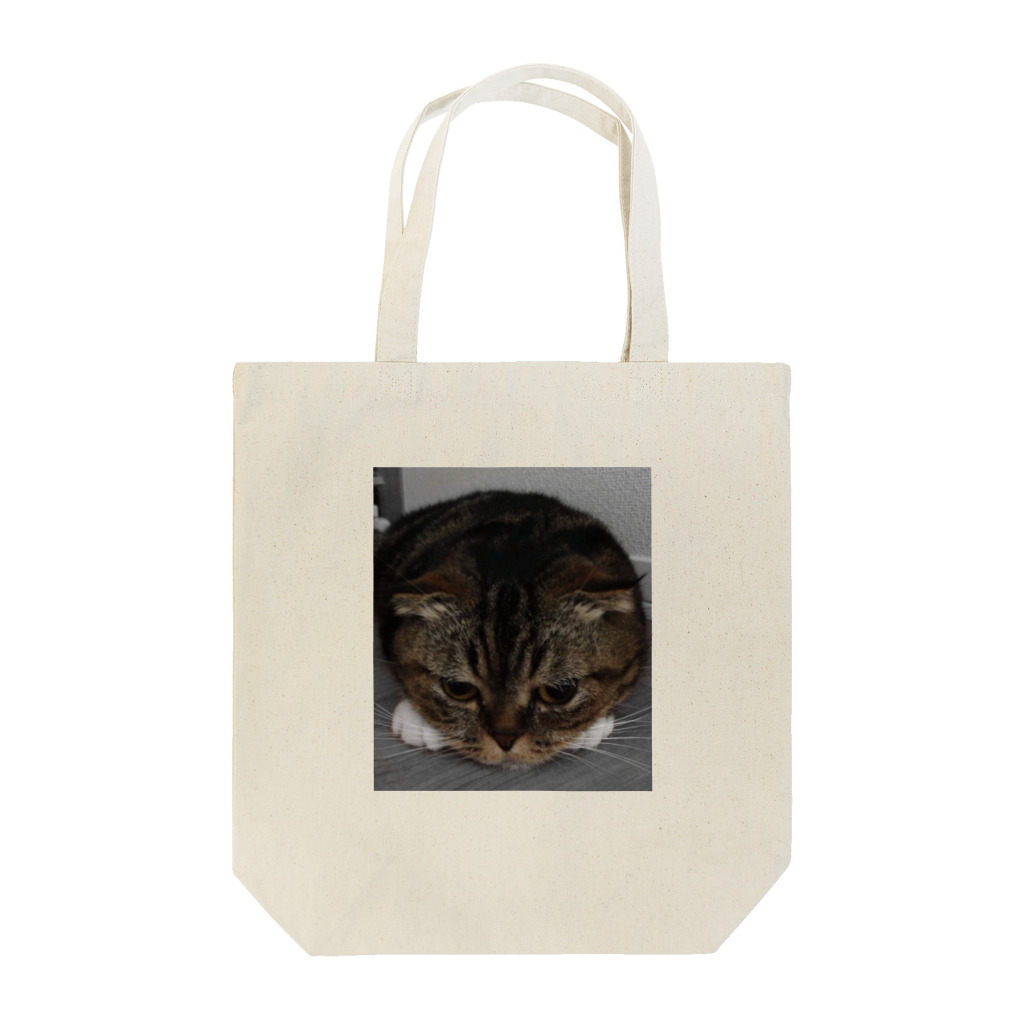 momocoの愛猫momocoのお願い Tote Bag