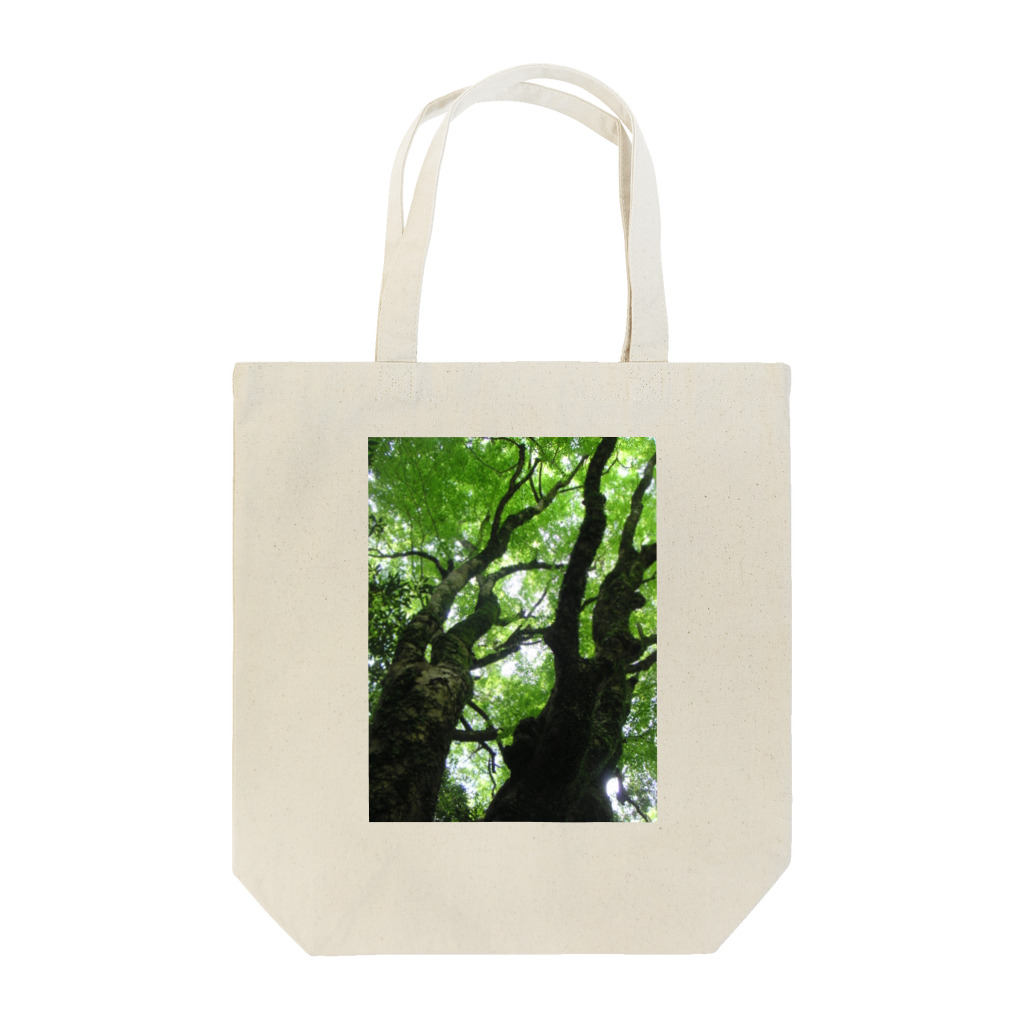 masaiの森林浴 トートバッグ