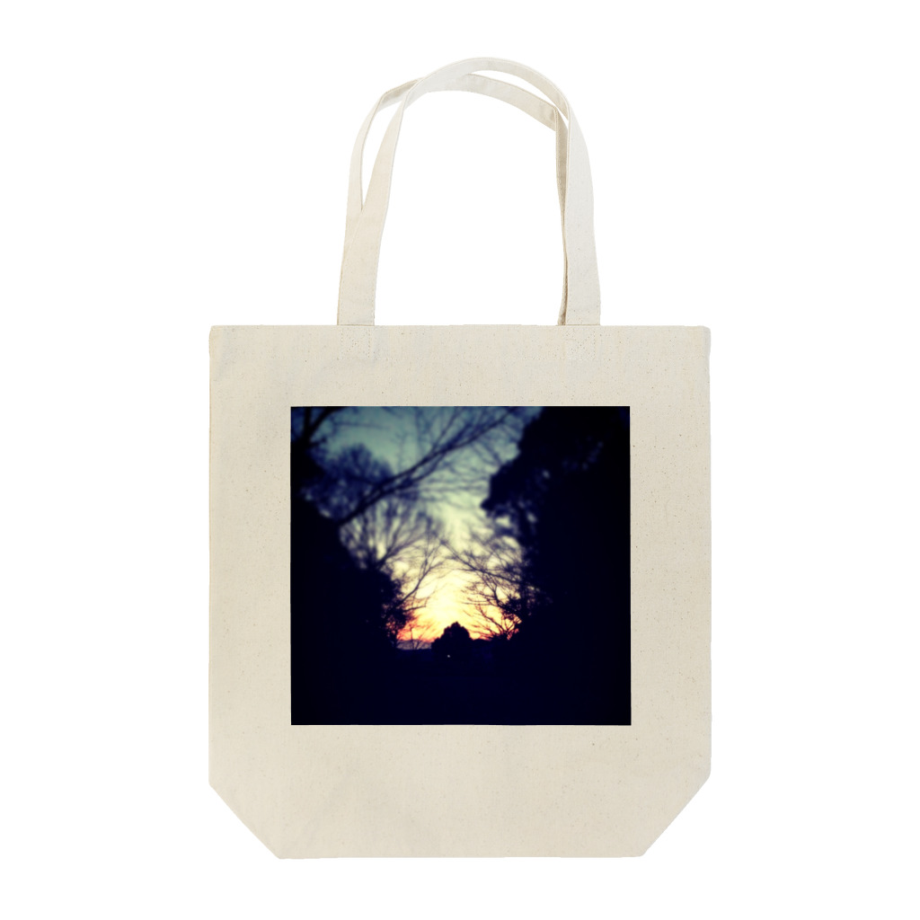 地味子ハゲ(　˙灬˙　三　˙灬˙　)の▲ Tote Bag