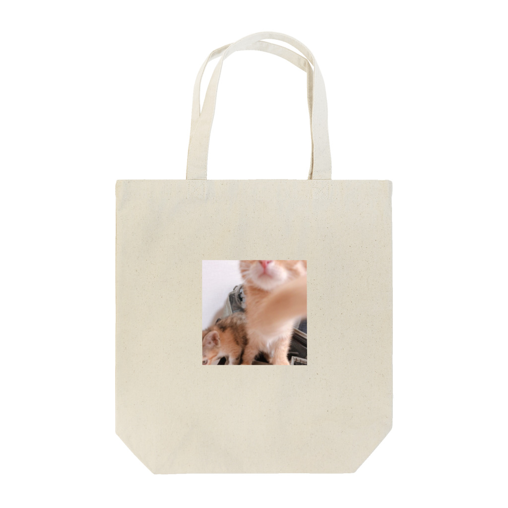 犬小屋のパンチングめんま Tote Bag