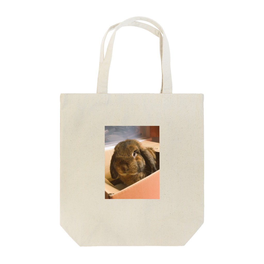 おにぎりグッズもりだくさん🍙のおはこおにぎり Tote Bag