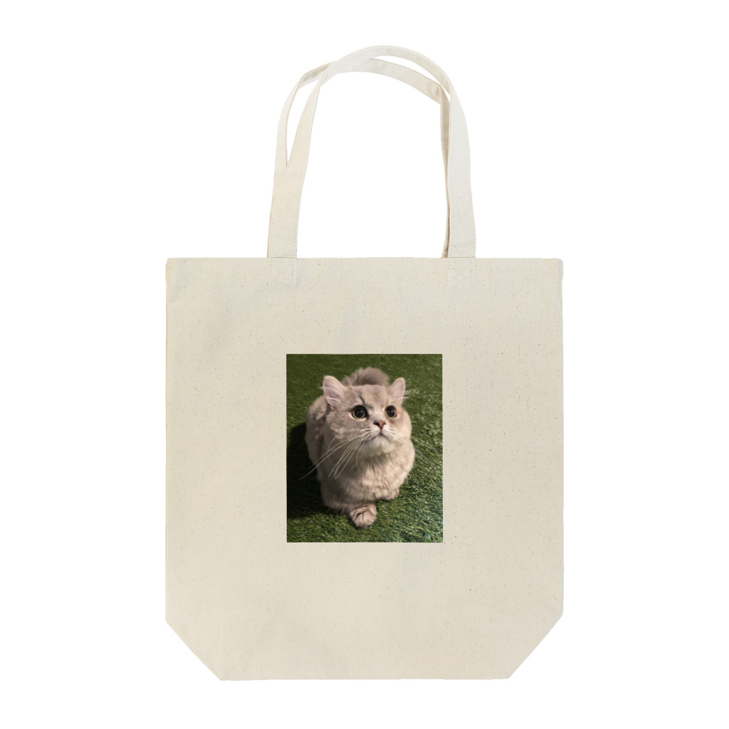 世界一可愛い猫グッズのしばふなぱるくん Tote Bag