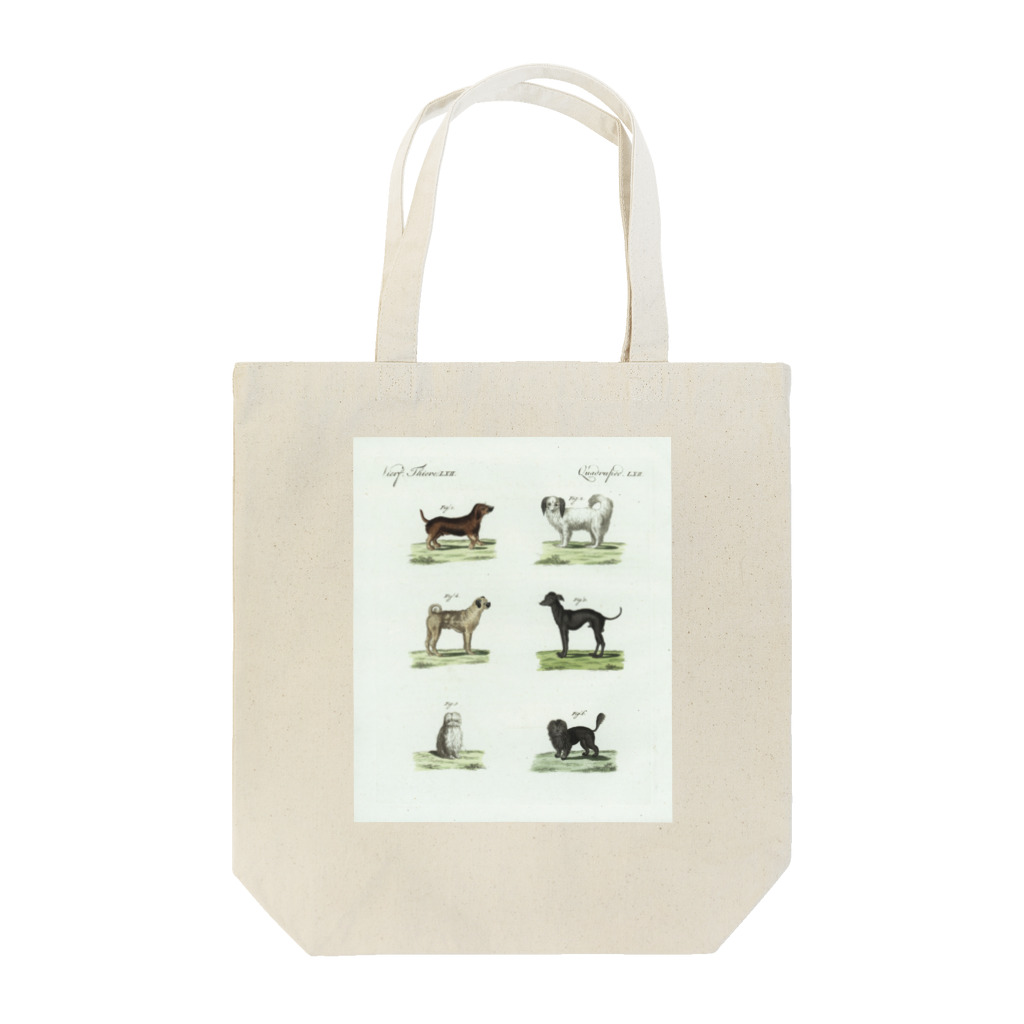 J. Jeffery Print Galleryの1802年ドイツの犬たち Tote Bag