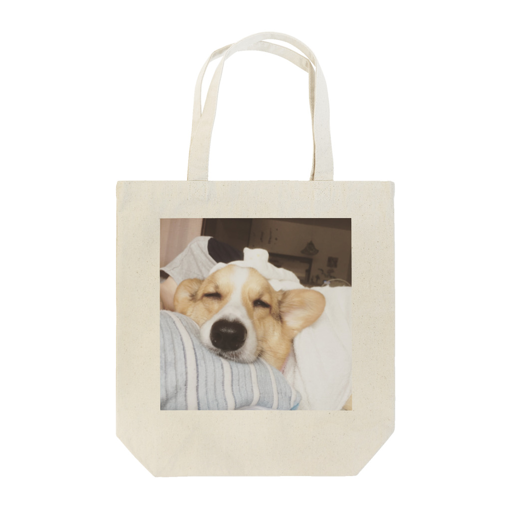 あったん。のコーギーひろし Tote Bag