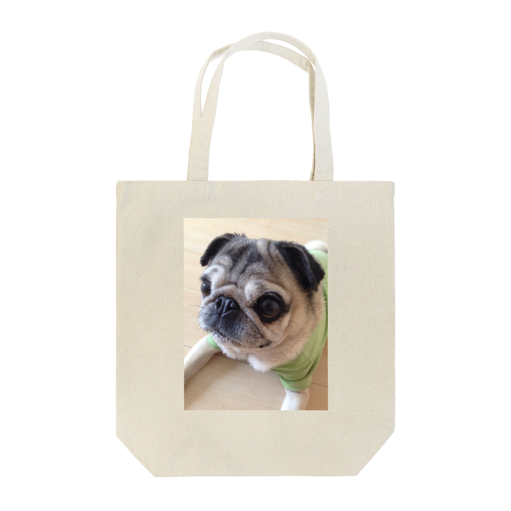 Piちゃん家のパグの休日 Tote Bag