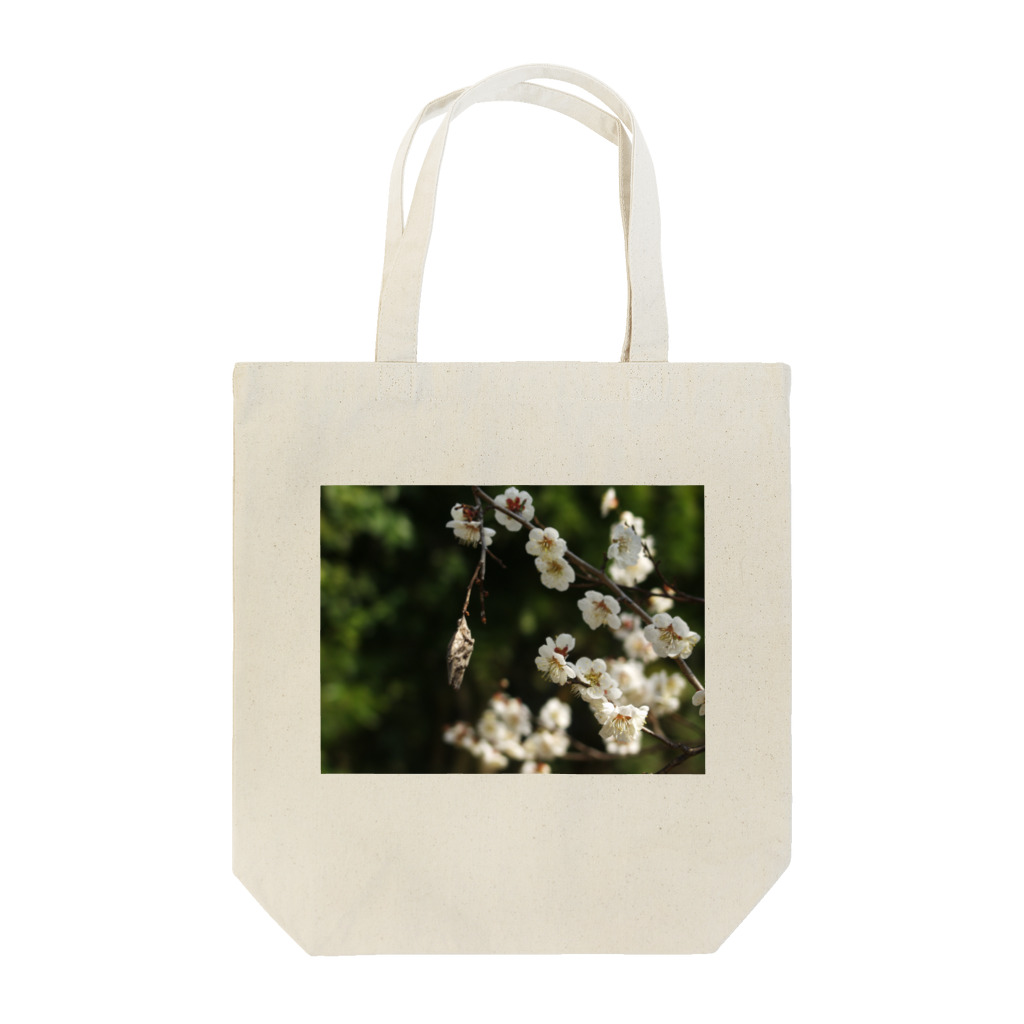 hiroki-naraの梅　ウメ　Japanese　apricot DATA_P_096 Tote Bag