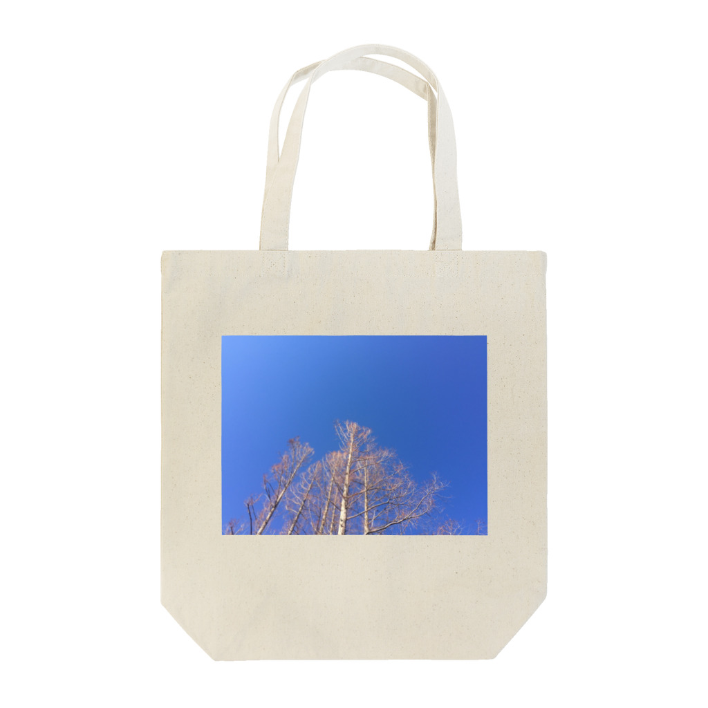 shizukusanの棚の晴れた日のメタセコイア Tote Bag