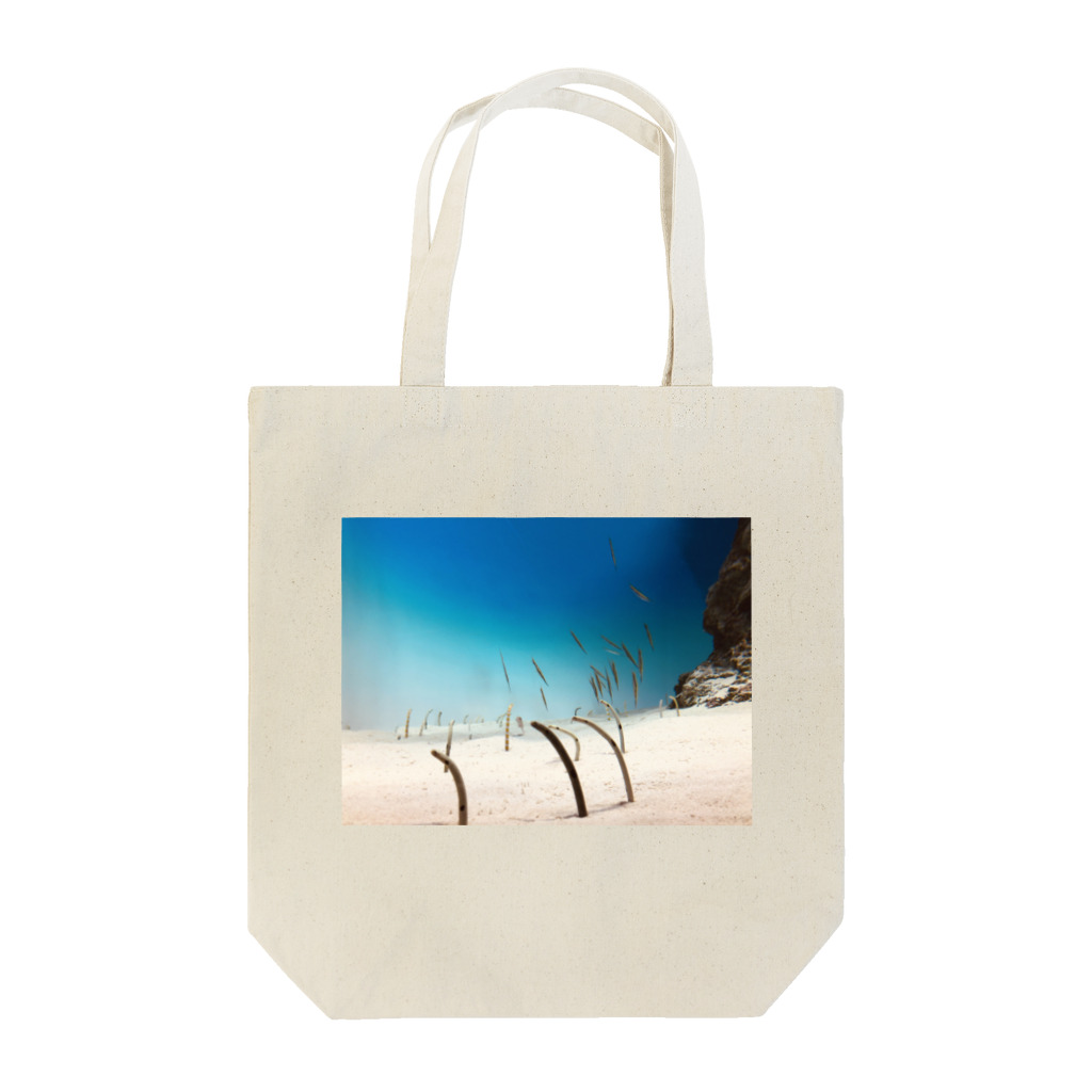 hoshiのチンアナゴ Tote Bag