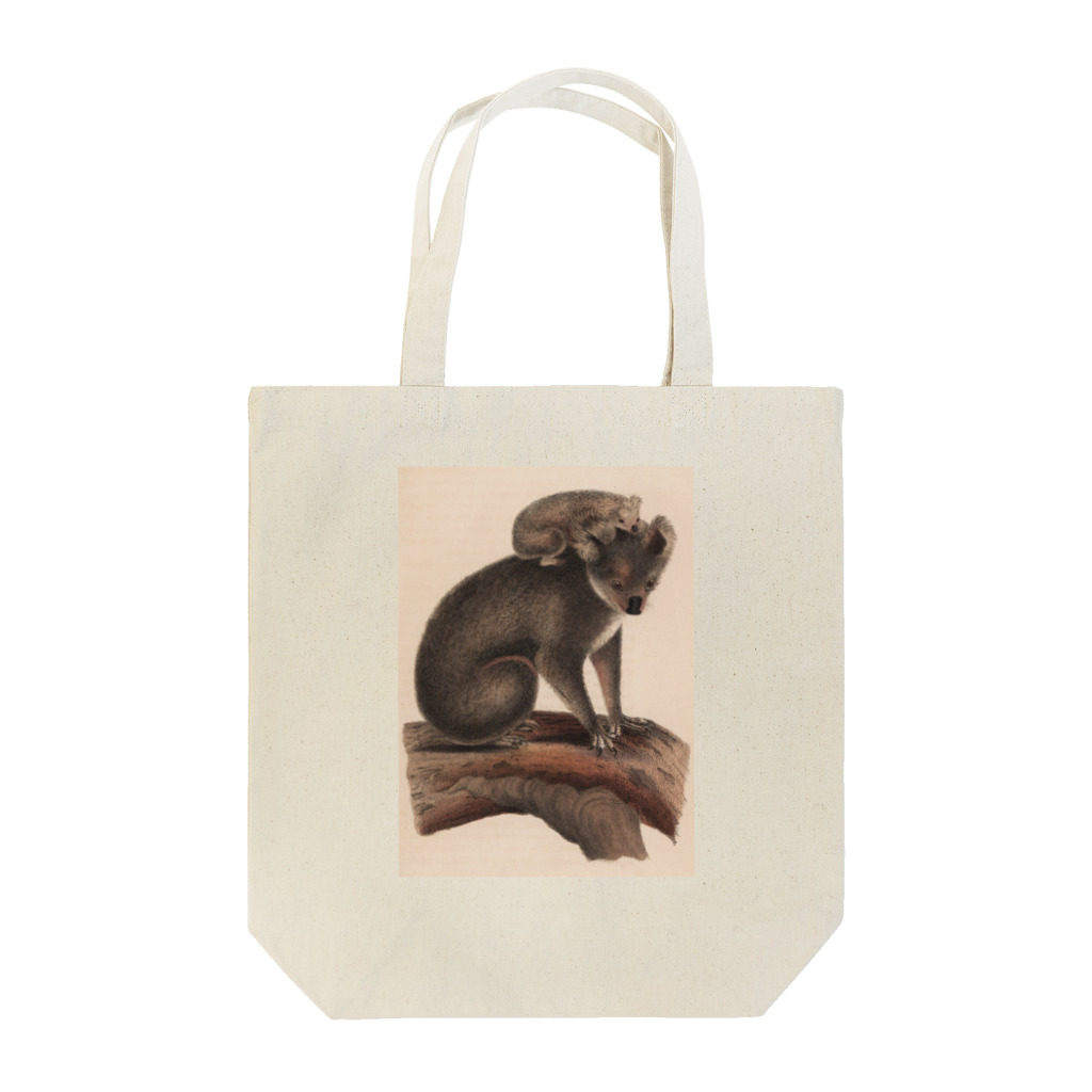 J. Jeffery Print Galleryのコアラの親子 Tote Bag