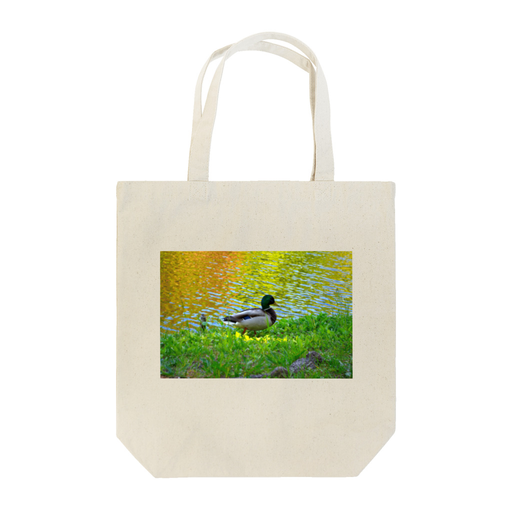 天井の幻想的な鴨 Tote Bag