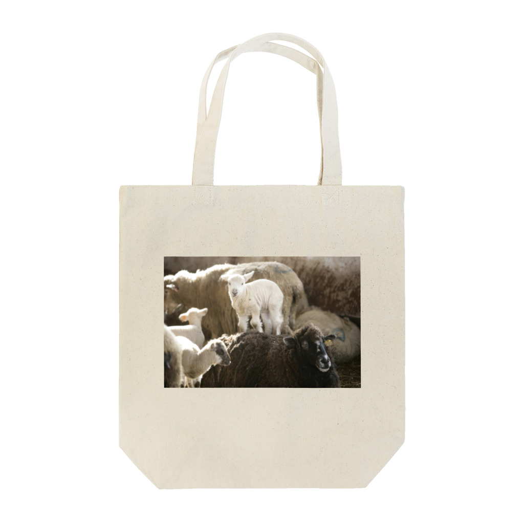 Erinorの背中子羊 Tote Bag