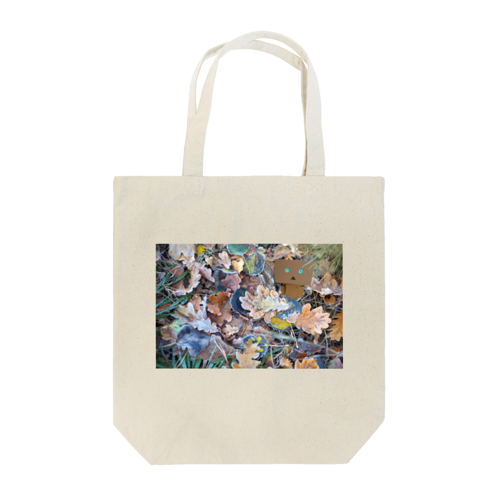 kyouka801のダンボーと落ち葉 Tote Bag