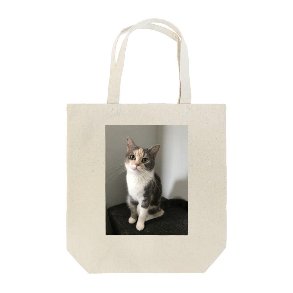ネコまにあ 【12匹の猫➕うずら】のゆずちゃん Tote Bag