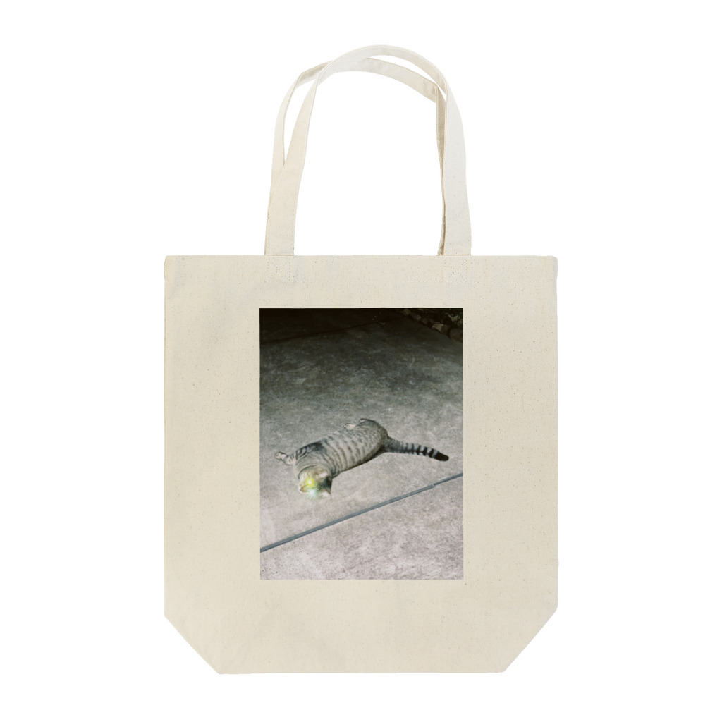 傘の眼光猫 Tote Bag