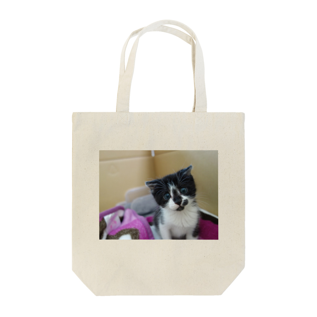 Hiromi Suzukiのはじめましてだにゃ Tote Bag