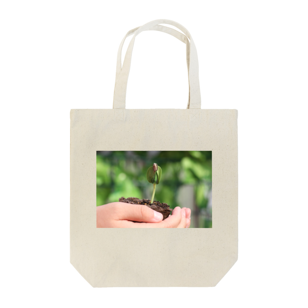 higekenのひまわりの芽 Tote Bag