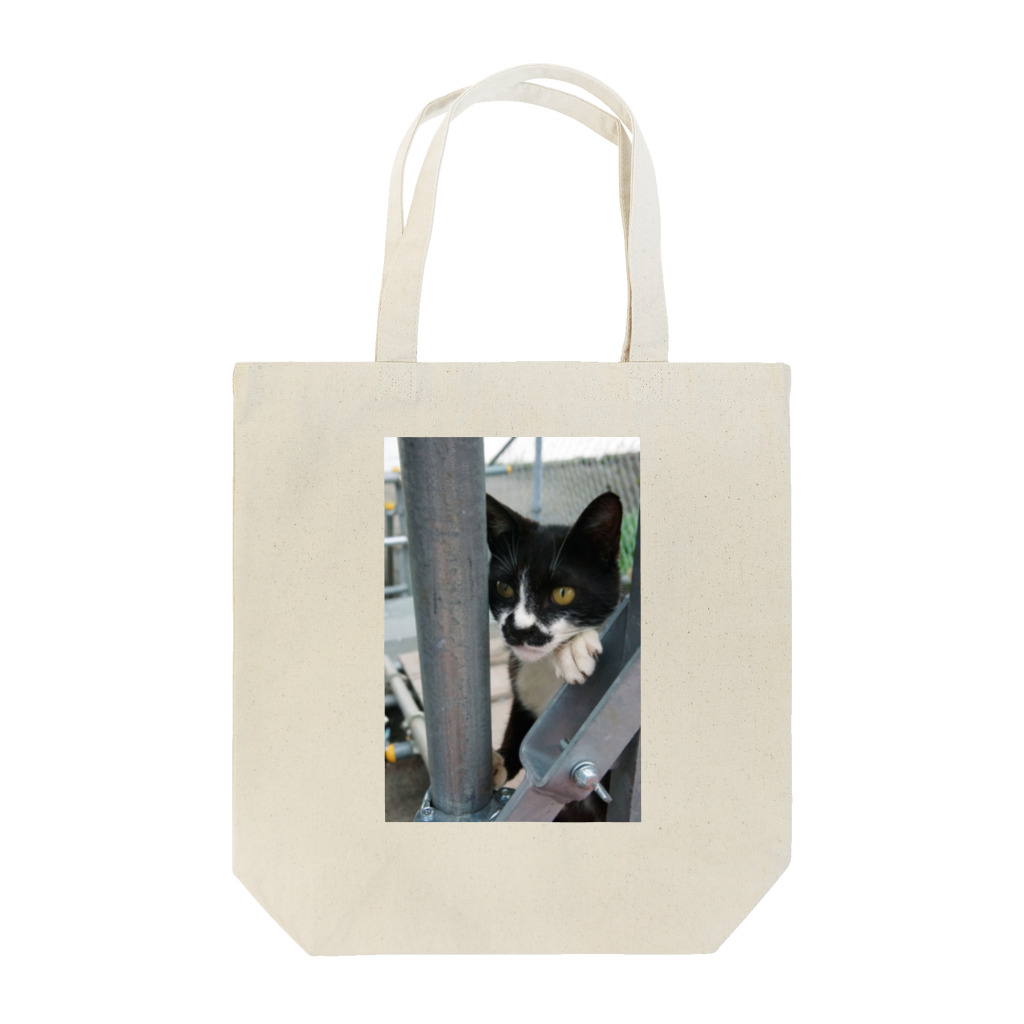 シッポ追いの猫写真店の張り込み トートバッグ