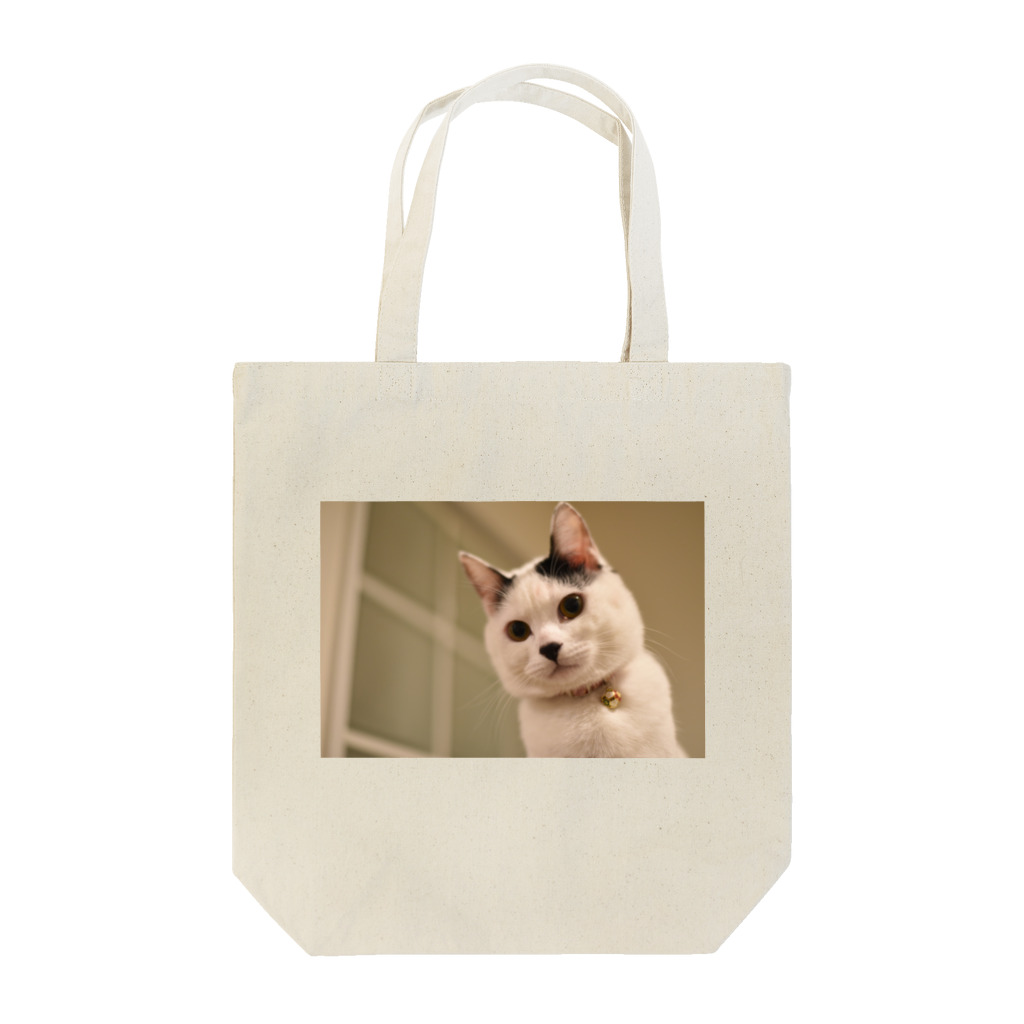 カメラマンと猫のお店の見下ろしみっけ Tote Bag