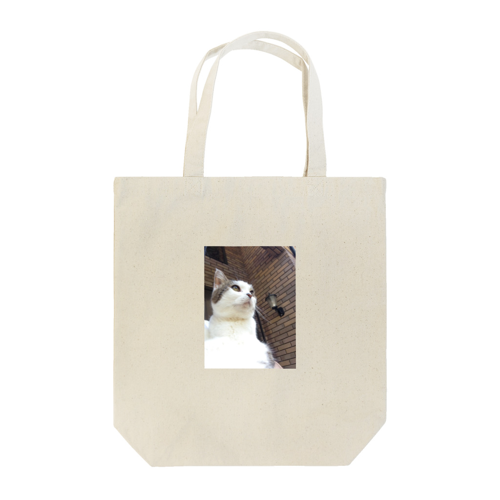 daidouのいつもふてぶてしいうちの愛猫 Tote Bag