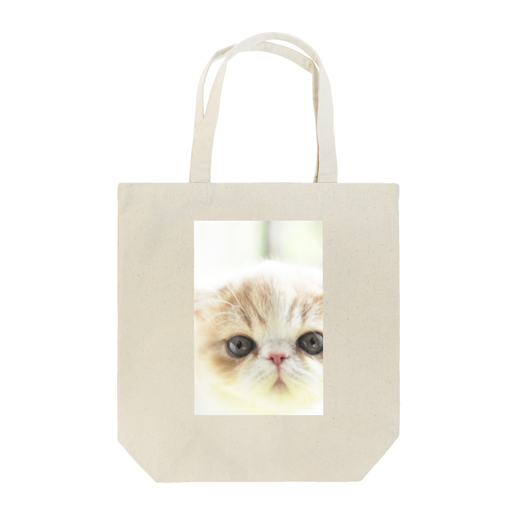 photo-tkのBaby ちまきくん Tote Bag